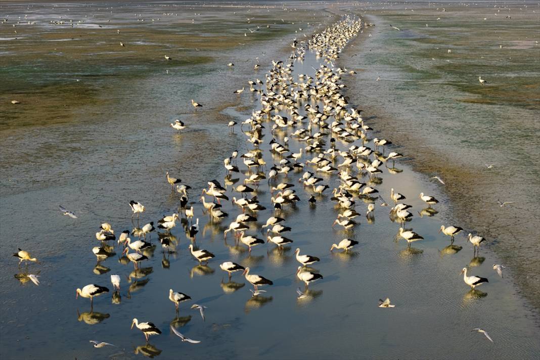 Gurbetçiler göç yolunda! Molayı Konya'da verdiler 9